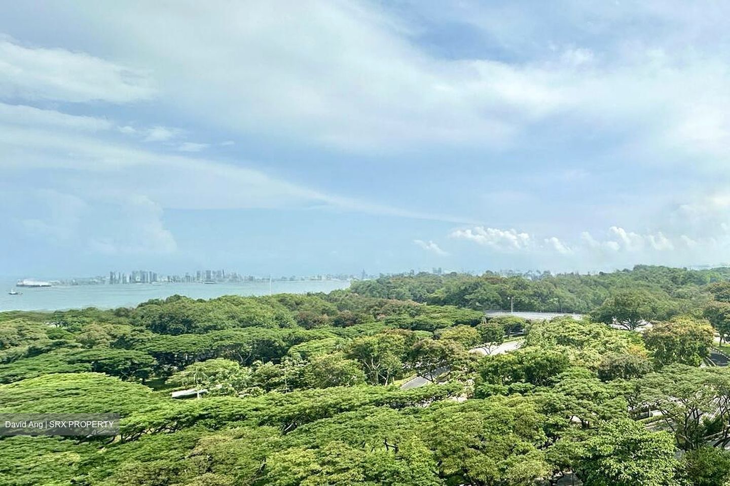 Bayshore Park (D16), Condominium #499000231